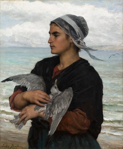 Zraněný racek od Jules Breton