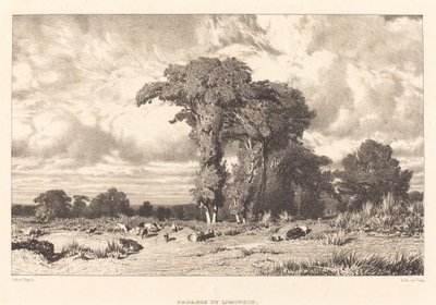 Pastviny Limousin od Jules Dupré