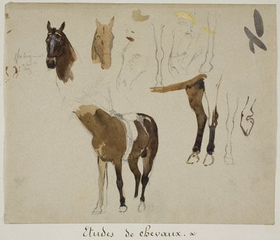 Studie o koních od Jules Elie Delaunay