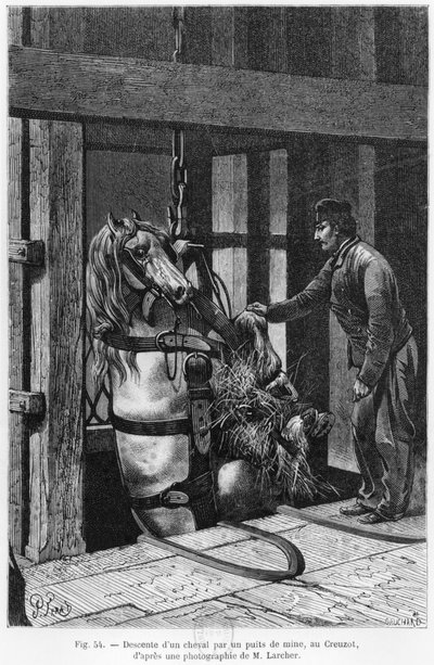 Stahování koně z uhelné jámy v Le Creusot, ilustrace z „La Vie souterraine“ od Louise Simonina (1830-86) 1867 od Jules Ferat