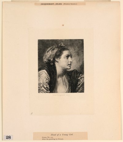 Hlava mladé dívky z „Letání obrázků v Metropolitním muzeu v New Yorku“ od Jules Ferdinand Jacquemart