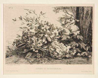 Pivoňky a rododendrony od Jules Ferdinand Jacquemart