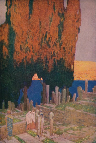 Na hřbitově Eyub, na Zlatém rohu, 1913 od Jules Guerin