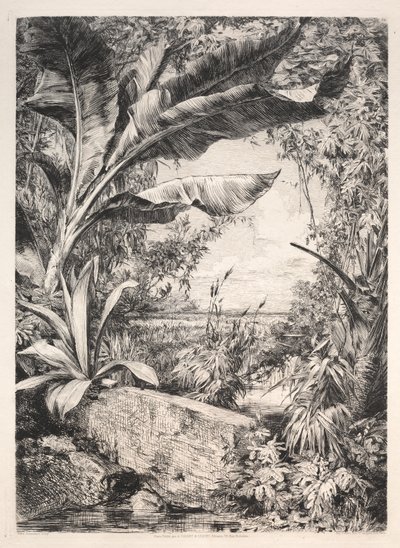 Rostliny skleníku od Jules Jacquemart