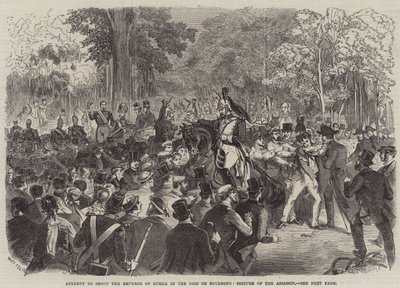 Pokus zastřelit ruského císaře v Bois de Boulogne, Zabavení vraha od Jules Pelcoq