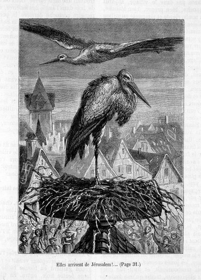 Čápi na střeše – v „Příteli Fritzovi“, od Erckmann-Chatrian, nemocný. od Théophila Schulera od Jules Theophile (after) Schuler