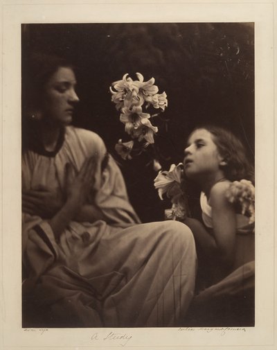  od Julia Margaret Cameron