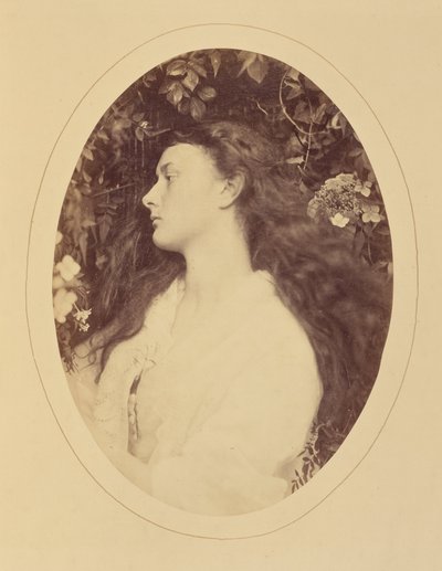 [Alethea] od Julia Margaret Cameron