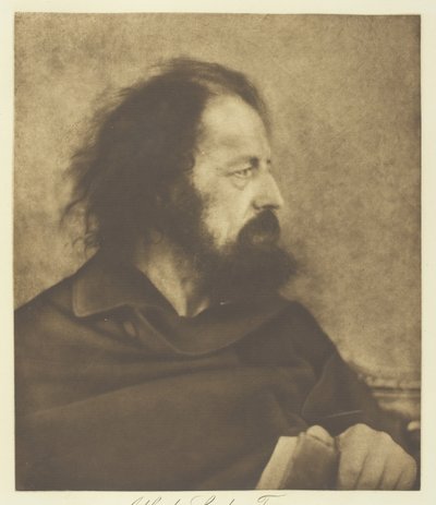 Alfred, Lord Tennyson Špinavý mnich, 1865, vytištěno cca. 1893. od Julia Margaret Cameron