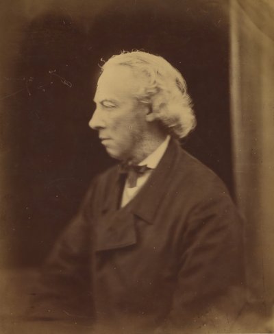 Aubrey deVere, 1866-68. od Julia Margaret Cameron