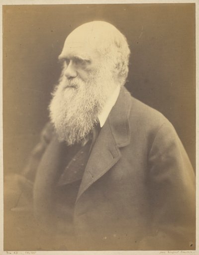 Charles Darwin od Julia Margaret Cameron