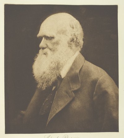 Charles Darwin od Julia Margaret Cameron