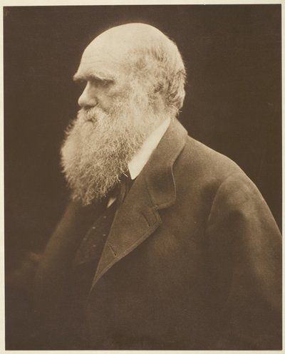 Charles Darwin od Julia Margaret Cameron