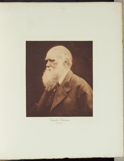  od Julia Margaret Cameron