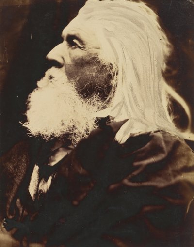 Charles Hay Cameron, 1864. od Julia Margaret Cameron