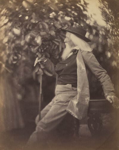 Charles Hay Cameron, Esq., ve své zahradě ve sladké vodě, 1865-67. od Julia Margaret Cameron
