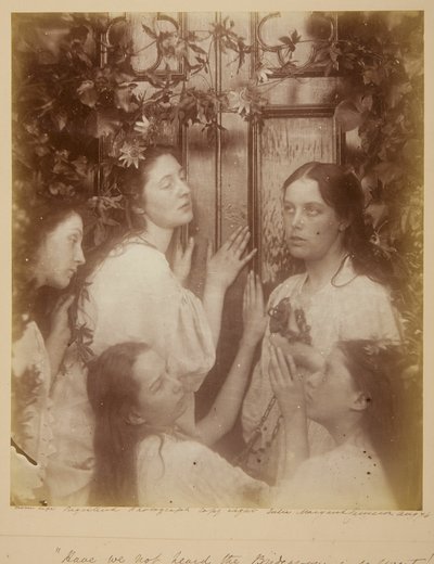 Neslyšeli jsme, že Ženich je tak sladký od Julia Margaret Cameron