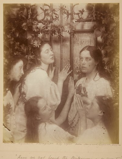 Neslyšeli jsme, že ženich je tak sladký, srpen 1874. od Julia Margaret Cameron