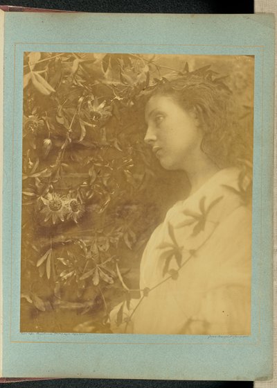  od Julia Margaret Cameron
