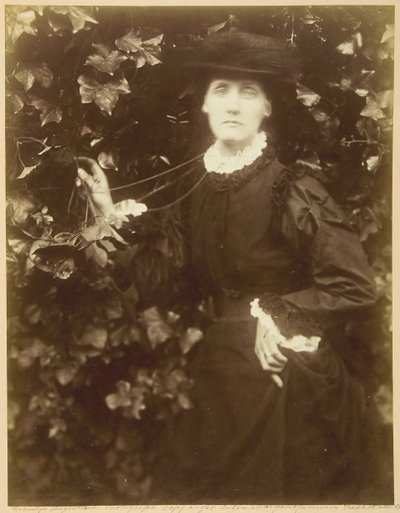 Paní Herbert Duckworth Chodí v kráse, září 1874. od Julia Margaret Cameron