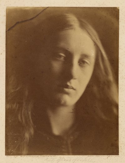 [Studie Hlava svatého Jana] od Julia Margaret Cameron