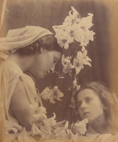 Přijímání od Julia Margaret Cameron