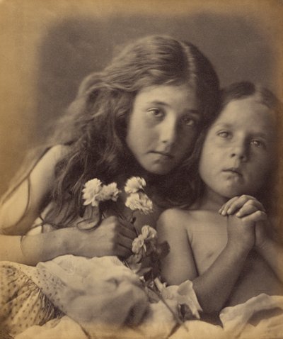 Červené a bílé růže od Julia Margaret Cameron