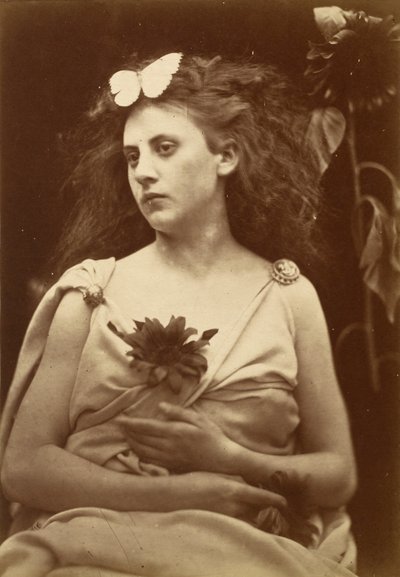 Slunečnice od Julia Margaret Cameron