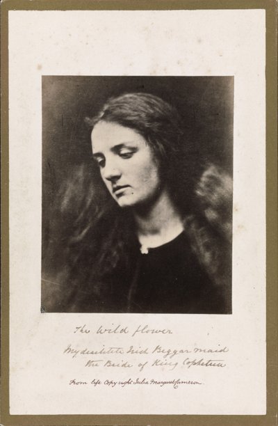 Divoká květina od Julia Margaret Cameron