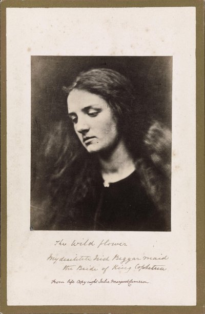Divoká květina od Julia Margaret Cameron