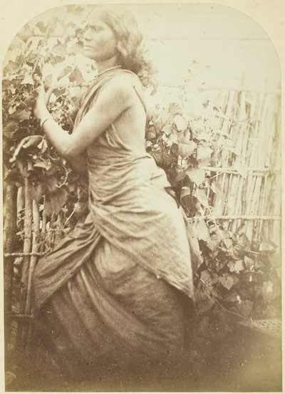 Žena, Cejlon, 187579. od Julia Margaret Cameron