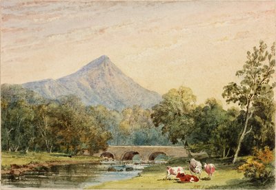 Sugarloaf Hill z Tynnahinch (wc na papíře (nalepeno na kartě)) od Julia Swinburne