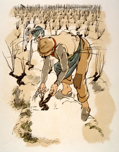 Humorné víno ilustrace 1946.Ilustration by Julien Pavil od Julien Pavil