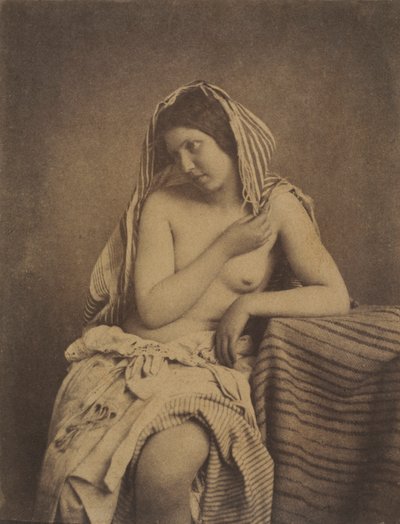 Studium po přírodě, c. 1853-1855. od Julien Vallou de Villeneuve
