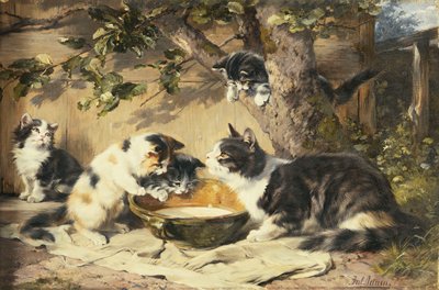 Miska mléka, od Julius Adam