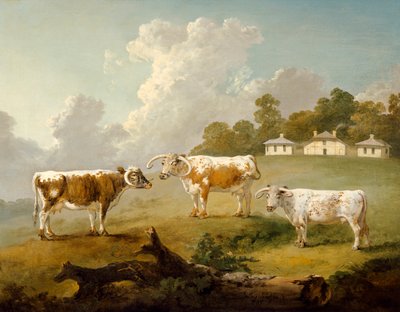 „Tři dlouhorohé dobytky v Kenwoodu“, 1797 od Julius Caesar Ibbetson