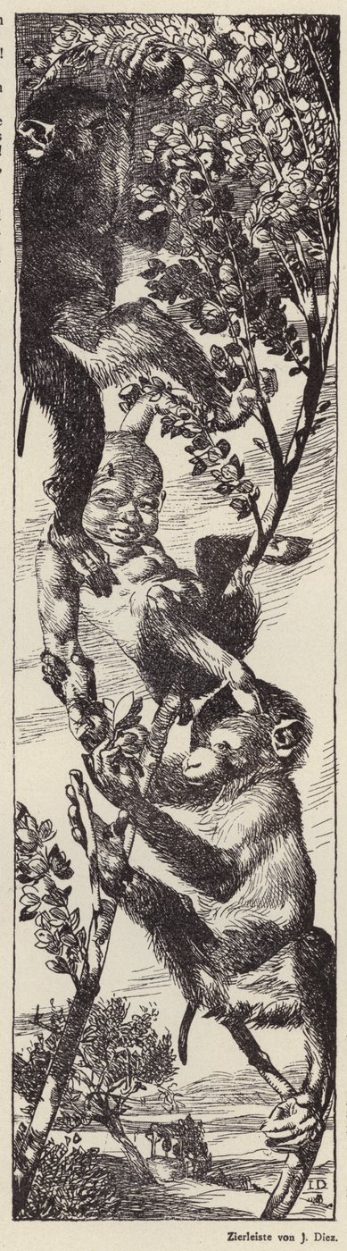 Opice sbírající ovoce na stromě (litografie) od Julius Diez