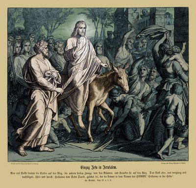 Ježíšův vstup do Jeruzaléma, Matoušovo evangelium od Julius Schnorr von Carolsfeld