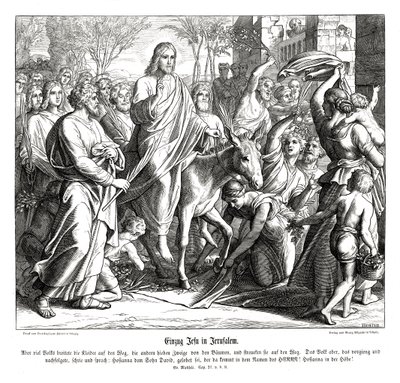Ježíšův vstup do Jeruzaléma, Matoušovo evangelium od Julius Schnorr von Carolsfeld