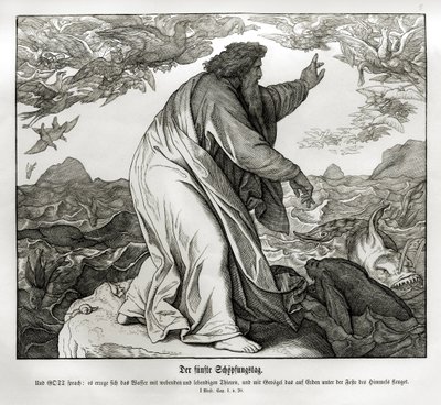 Pátý den stvoření, Genesis od Julius Schnorr von Carolsfeld