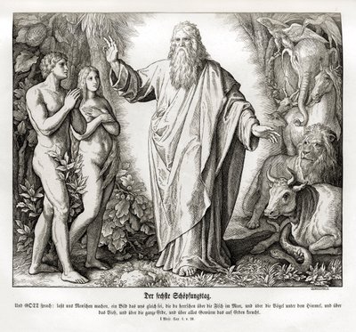 Šestý den stvoření, Genesis od Julius Schnorr von Carolsfeld