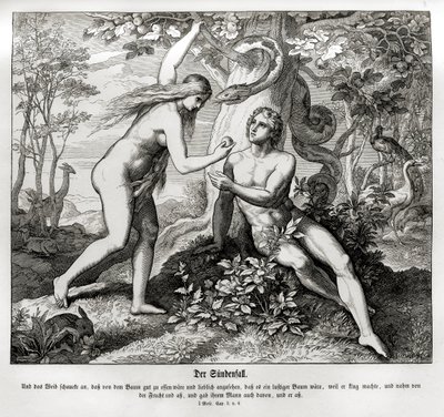 Pád, Genesis od Julius Schnorr von Carolsfeld