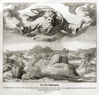 Třetí den stvoření, Genesis od Julius Schnorr von Carolsfeld