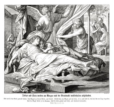 Tobias a Sarah jsou nalezeni v bezpečí, Book of Tobit od Julius Schnorr von Carolsfeld