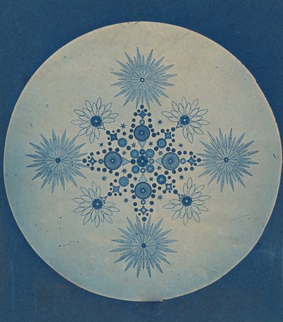[Frustules of Diatoms], ca. 1870. od Julius Wiesner.