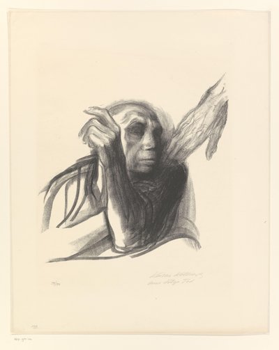 Käthe Kollwitz jako stará žena s rukou na rameni Ruf des Todes (původní název) Smrt (název seriálu) Tod (původní název série) od Käthe Kollwitz (signed by artist)