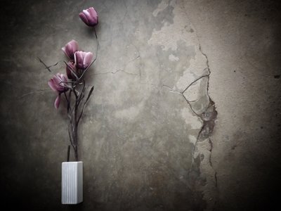  od Kahar Lagaa