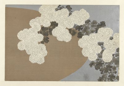 Chryzantémy, 1909 (dřevotisk) od Kamisaka Sekka