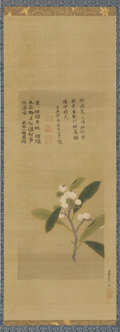 Odnož mišpulí, období Edo, 18. století. od Kanô Eisen