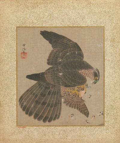 Album Jestřábů a kaligrafie, 17.-18. století. od Kanô Yôboku Tsunenobu